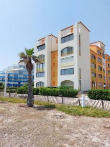 eine Palme vor einem Gebäude in der Unterkunft Confort en front de mer avec accès direct plage in Le Barcarès