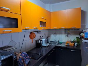 Η κουζίνα ή μικρή κουζίνα στο Apartman More i Nebo