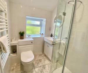 a bathroom with a toilet and a glass shower at Morfarch traditional stone cottage within Conwy walls in Conwy