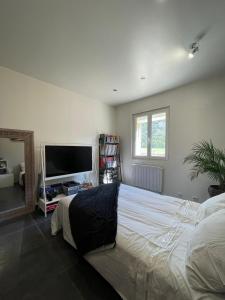 Un dormitorio con una cama grande y un televisor de pantalla plana. en Une villa en Provence, en Tartonne