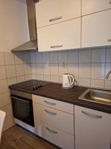 Kuchyň nebo kuchyňský kout v ubytování Apartment Teuta