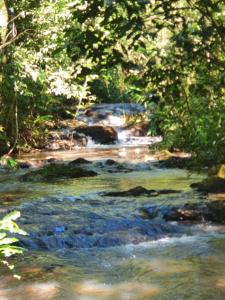 ein Gemälde eines Bären, der einen Bach überquert in der Unterkunft la escondida in Puerto Leoni
