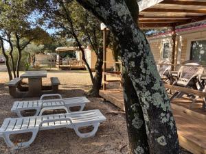 a group of picnic tables next to a tree at Camping l'Horizon 30 in Les Mages