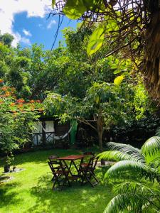 two benches sitting in the grass near a tree at Villa Piauí in Barra Grande