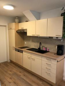 une cuisine avec des armoires blanches et un évier dans l'établissement Haus Seeblick Markdorf, à Markdorf 11 autres photos