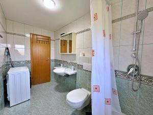 a bathroom with a toilet and a sink and a shower at Apartments Vodopija in Soline +43 photos