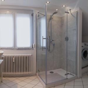 a shower with a glass door in a bathroom at Ferienwohnungen Manz in Überlingen