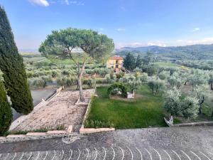 une vue aérienne sur une maison avec un arbre dans l'établissement Villa Fontalta, à Cavriglia