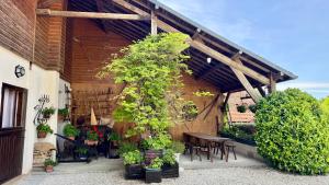 an outdoor patio with a table and chairs and plants at La Ferme du Croît - Proche Lacs & Observatoires in Villehardouin +28 photos