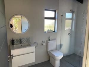 a bathroom with a toilet and a sink and a mirror at SealPoint Studio in Cape St Francis +30 photos