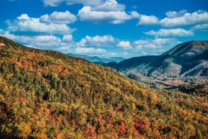 an autumn view of a mountain covered in trees at Starry Night Retreat By Avada Properties in Sevierville +41 photos