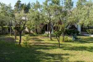 een groene bank in een tuin met bomen bij Casa Ginepro in Olbia