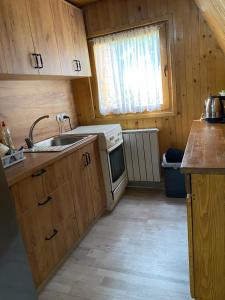a small kitchen with a sink and a stove at Planinska kuća Divna in Šišava