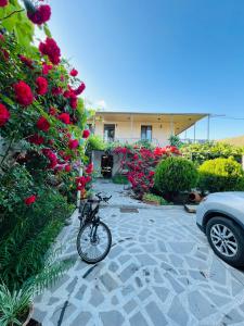 Катання на велосипеді по території Guesthouse Mtkvari або околицях