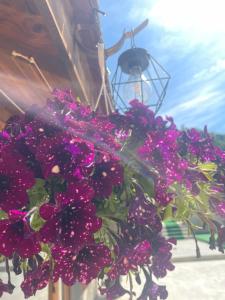 Gallery image of Casa Roșca in Tomşani