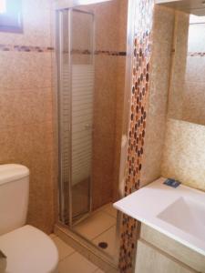 un bagno con doccia, WC e lavandino di Edelweiss Studios a Limenas Altre 33 foto