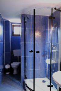 a blue bathroom with a shower and a toilet at Vila Iulia in Eforie Nord +78 photos
