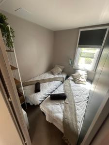two twin beds in a room with a window at SPA et SAUNA de la presle in Saint-Georges-sur-Arnon