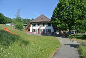 Tüscherz-AlferméeLa Hohmatt的位于草山上的房子，门前有一条小路