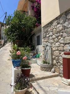 Imagen de la galería de Katerina's Home, en Palaia Epidavros