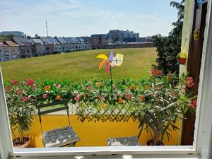 Zahrada ubytování Apartment with terrace in Berchem-Sainte-Agathe