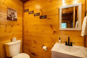 a bathroom with a white toilet and a sink at Three Little Bears 2 By Avada Properties in Gatlinburg +25 photos