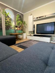 TV a/nebo společenská místnost v ubytování Andrada Holiday House