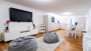 TV a/nebo společenská místnost v ubytování Thunersee Retreat