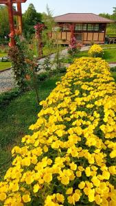 Afbeelding uit fotogalerij van Baltina Parc Transfagarasan in Curtea de Argeş