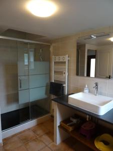 ein Badezimmer mit Waschbecken und Dusche in der Unterkunft Gîte Aronde in Roz-sur-Couesnon