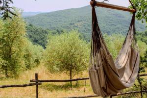a hammock with a view of a mountain at Podere tra gli Ulivi - Yoga, Natura e Silenzio in Parrano