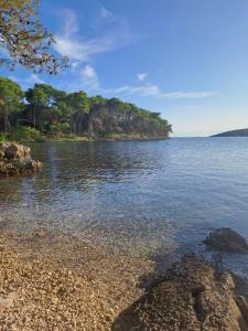a body of water with a rocky shore with trees at Apartmani Mirko App in Molat