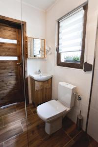 a bathroom with a toilet and a sink and a window at Domek na Zielonym Wzgórzu in Wisła +26 photos