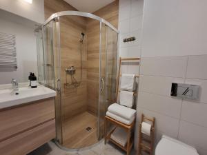 a bathroom with a shower and a toilet and a sink at To Tutaj in Szklarska Poręba +55 photos