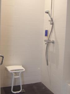 a shower in a bathroom with a toilet at Hôtel De La Vallée in Dinard