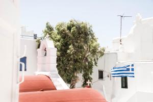 Foto dalla galleria di Hotel Delfines a Mykonos Città