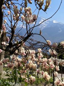 Gallery image of My Holidays Bei Franca in Domaso