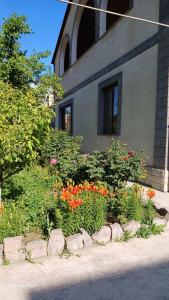 Zahrada ubytování Green Dilijan B&B