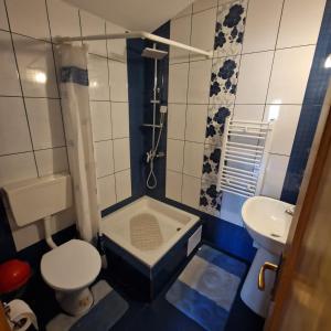 a small bathroom with a toilet and a sink at Casa Mariflor in Vama Buzăului +37 photos