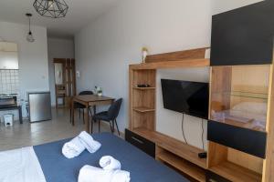 TV a/nebo společenská místnost v ubytování Secret Oasis Aptms room1