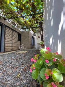 a plant with pink flowers next to a building at Buen Descanso I in San Pedro