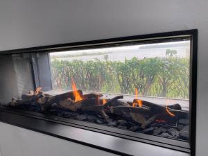 pożar w akwarium w pokoju w obiekcie BEACH VILLA in erster Reihe - direkter Strandzugang - eingezäunter Garten - Dachterrasse - 2 Gartenterrassen - Terrassendach - Grill mit Plancha - XXL Meerblick - Bar - SONOS Soundanlage - Pool Whirlpool - kinderfreundlich - Hunde willkommen w mieście Hulshorst