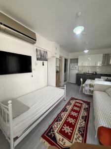 a bedroom with a bed and a tv on the wall at Sahil Apart in Datca +41 photos