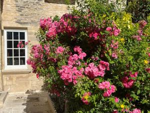 Giardino di Chambres d’hôtes de l’Ancienne Auberge