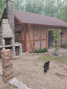 a black cat standing in front of a log cabin at Cegiełka w Skarlance in Gaj Grzmięca +4 photos