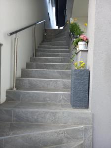 una rampa di scale con piante in vaso di Apartment Zorec a Maribor Altre 20 foto