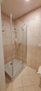 une douche avec une porte vitrée dans une salle de bain dans l'établissement W Krainie Alicji, à Nałęczów