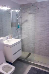 un bagno con doccia, WC e lavandino di Sea Shine Apartament, frontal sea view a Mamaia Nord - Năvodari
