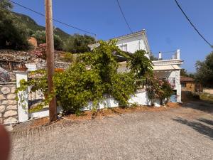 a house with plants on the side of it at Zmarias 1 in Perakhórion