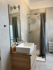 a bathroom with a sink and a shower at Elegante Apartmento nel centro storico di Treviso in Treviso